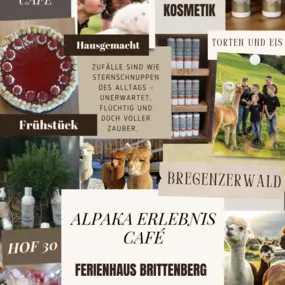 Bild von Brittenberg Alpaka
