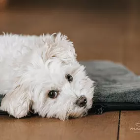 Bild von Madeleine Krüger Fotografie
