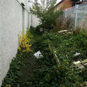 Bild von J W Horticultural Services