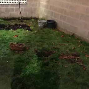 Bild von J W Horticultural Services