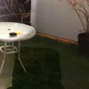 Bild von J W Horticultural Services