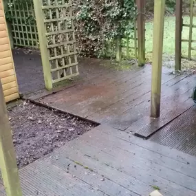 Bild von J W Horticultural Services