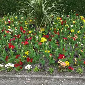 Bild von J W Horticultural Services