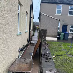 Bild von J W Horticultural Services