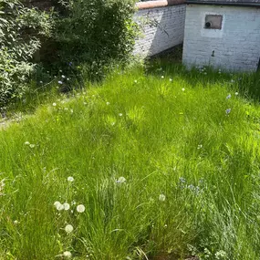 Bild von J W Horticultural Services