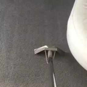 Bild von Elite Carpet and Upholstery Cleaning Ltd