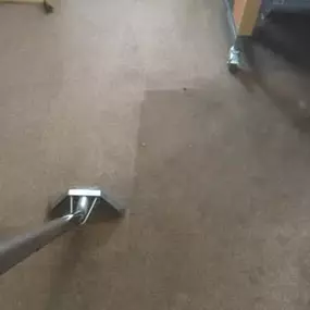 Bild von Elite Carpet and Upholstery Cleaning Ltd
