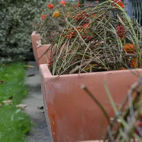 Bild von Blumen&mehr Katharina Harb