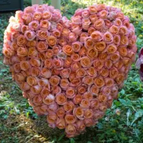 Bild von Abschied Bestattungen