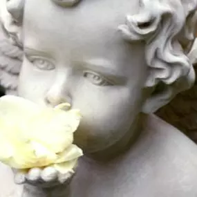 Bild von Abschied Bestattungen