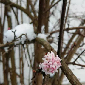 Bild von Abschied Bestattungen