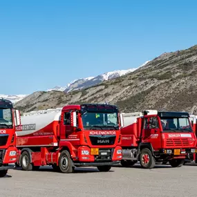 Bild von Oberwalliser Kohlen- & Transportkontor, Leonardo Pacozzi AG