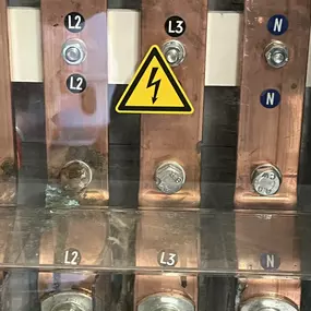 Bild von insectacon Schädlingsbekämpfung