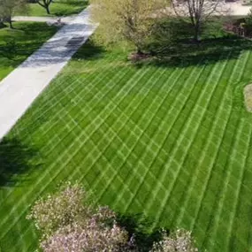 Bild von Backyard Barber Lawn Care and Landscaping
