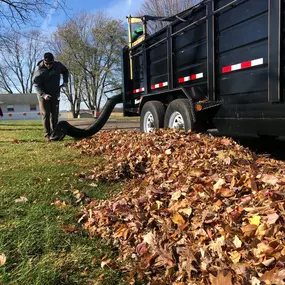Bild von Backyard Barber Lawn Care and Landscaping