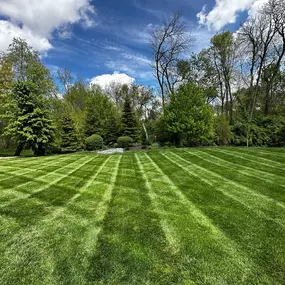 Bild von Backyard Barber Lawn Care and Landscaping