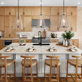 Well-equipped gourmet kitchens with ample cabinet space