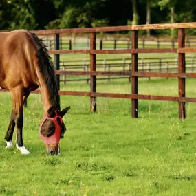 Bild von Oliver Middleton Fencing Ltd