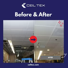 Bild von Ceil Tex - Acoustic Ceiling Contractor