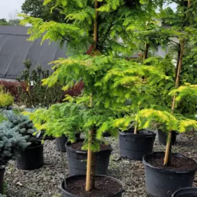 Bild von Green Valley Landscaping NJ LLC