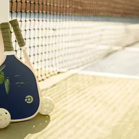 Future amenities exclusive for Regency residence including a club house, pool, fitness center, pickleball court, and more