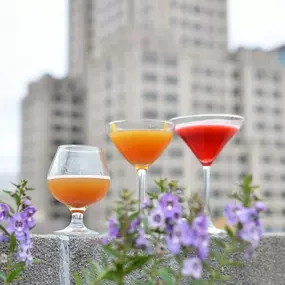 Bild von Rooftop at the Providence G