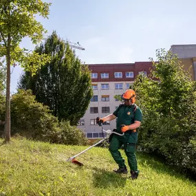 Grünanlagenpflege von Piepenbrock
