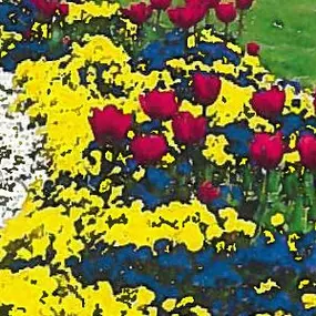 Bild von Klinke Garten