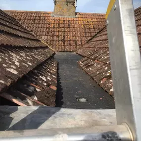 Bild von Whittington Roofing