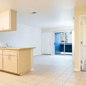 Kitchen And Living