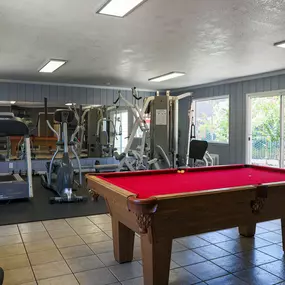 Pool Table
