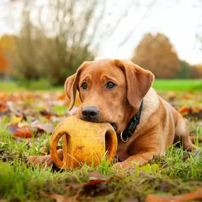 Bild von Katharinas Klassenzimmer