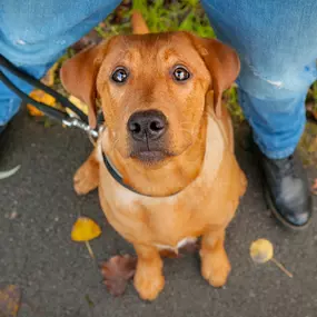 Bild von Katharinas Klassenzimmer