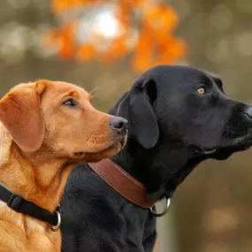 Bild von Katharinas Klassenzimmer