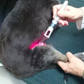 Bild von Clínica Veterinaria Don Can
