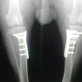 Bild von Clínica Veterinaria Don Can