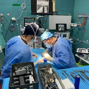 Bild von Clínica Veterinaria Don Can