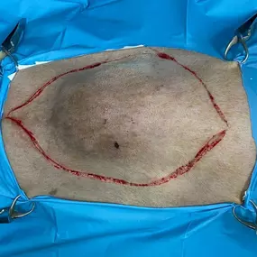 Bild von Clínica Veterinaria Don Can