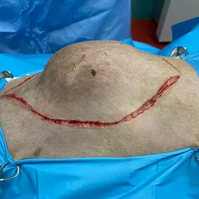 Bild von Clínica Veterinaria Don Can
