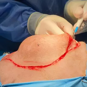 Bild von Clínica Veterinaria Don Can