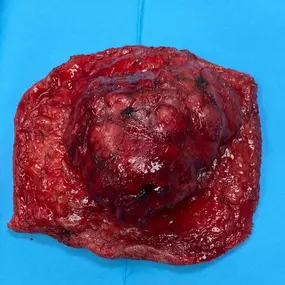 Bild von Clínica Veterinaria Don Can