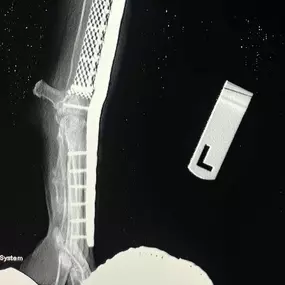 Bild von Clínica Veterinaria Don Can