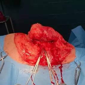 Bild von Clínica Veterinaria Don Can