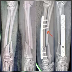 Bild von Clínica Veterinaria Don Can
