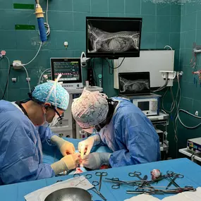 Bild von Clínica Veterinaria Don Can
