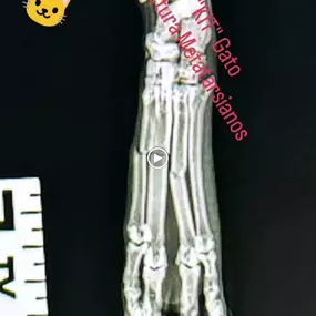 Bild von Clínica Veterinaria Don Can
