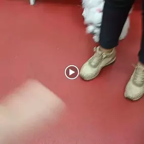 Bild von Clínica Veterinaria Don Can