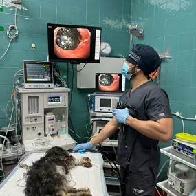 Bild von Clínica Veterinaria Don Can