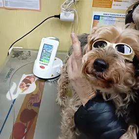 Bild von Clínica Veterinaria Don Can