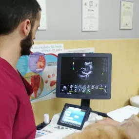 Bild von Clínica Veterinaria Don Can